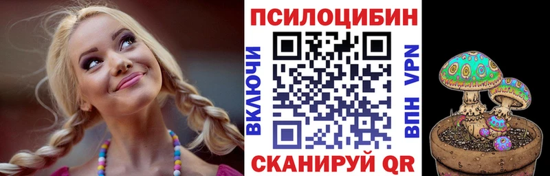 Псилоцибиновые грибы мицелий  Хасавюрт 